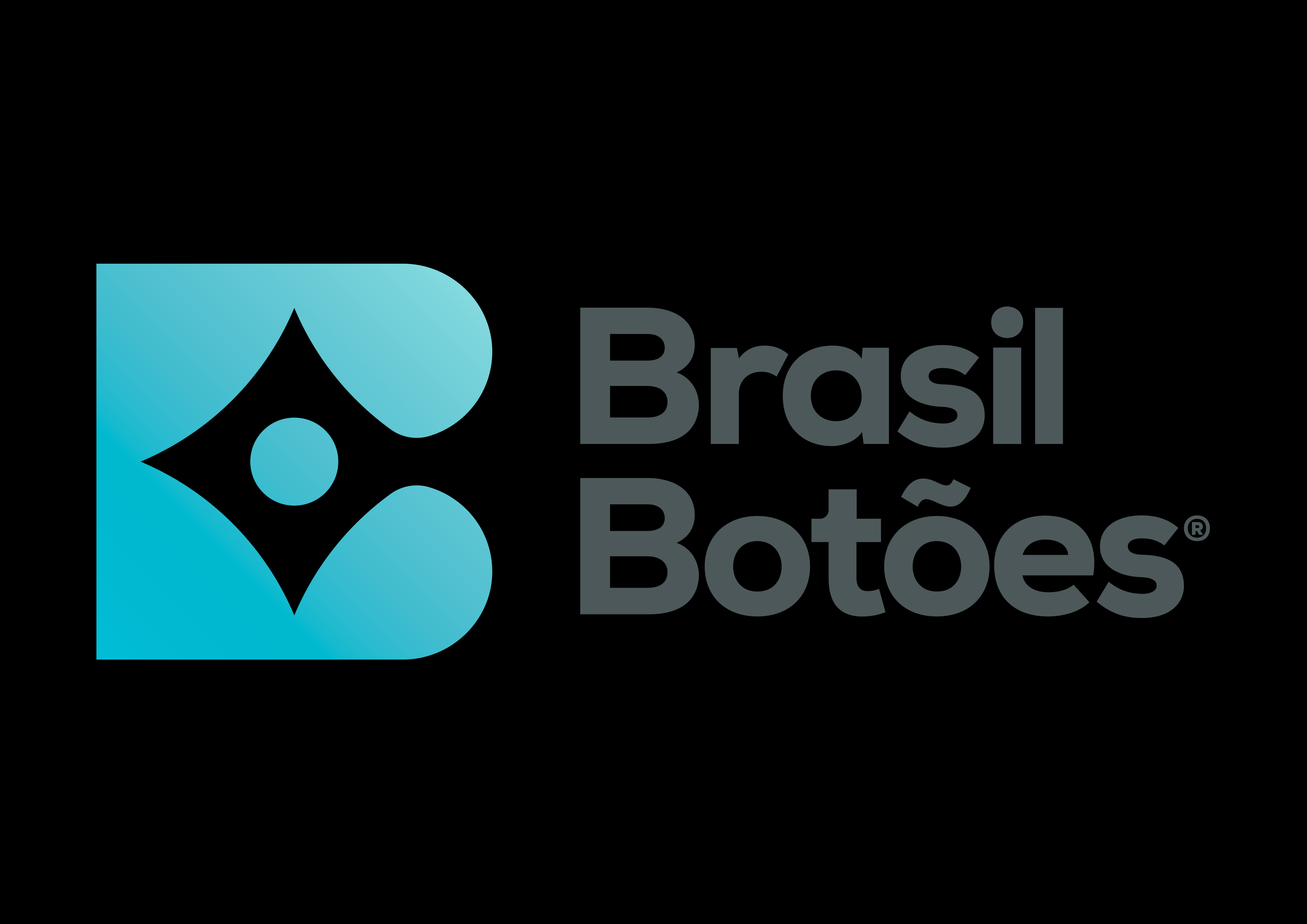 Imagem de BRASIL BOTOES LTDA
